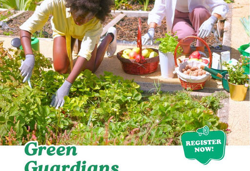 Get ready to make a positive impact on the planet! Join the 2025 Green Guardians and immerse in a hands-on adventure where nature lovers ages 7-17 can plant trees, clean parks, and explore wildlife habitats. This exciting program happens on the first Saturdays of March, April, and May at Hunter Park & Willing Workers. Don't miss out on the chance to contribute to conservation efforts while having fun with like-minded peers. Register for free now through May 3rd to secure a spot. Follow the link in the bio! #GreenGuardians #NatureLovers #Conservation #YouthProgram #Volunteer #PlantTrees #ProtectWildlife #EcoFriendly #OutdoorAdventure #JoinUs Media Credit: City of Douglasville, GA