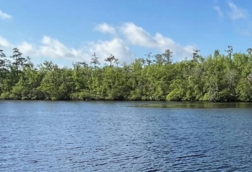 The Camden County Board of Commissioners invites passionate community members to become part of the St. Marys River Management Committee. This is a unique opportunity to influence local conservation efforts while helping to promote sustainable practices within the region. Potential applicants should possess an interest in environmental stewardship and a commitment to improving the quality of life in Camden County. By joining this committee, individuals will have the chance to collaborate with like-minded people and contribute to essential discussions on river management. Don't miss out on the chance to make a real impact! Media Credit: Camden County, Georgia